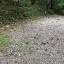 캠핑포유캠핑장 이미지