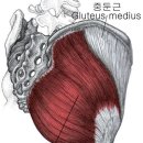 BODY MAKER 이미지