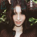 모모촬영업