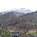 정한농원 이미지