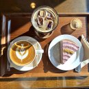 웜브리즈 이미지