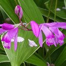 하례2리경로당 이미지