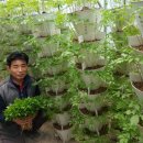 삼은농장 이미지