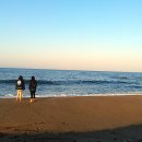 나곡해수욕장 이미지