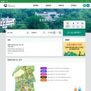 E-레포츠