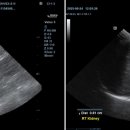 히어로동물병원 이미지