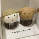 부경고 2 | 여자의 생일은 1년이에요