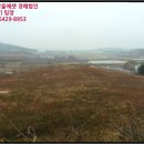 입동제 네이버블로그