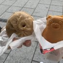 대성카프라자 | 구마모토 여행 소도시 감성 가득한 맛집 카페 명소 1일차