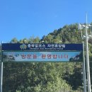 충북 알프스자연휴양림 숲속의집 1동 5살아이와 방문후기(예약 및 숲해설 체험)