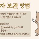 행운의젤다 네이버블로그