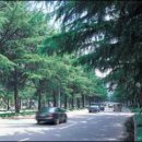 동대구로 이미지