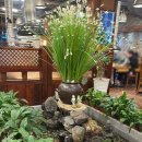 조방로49번길 이미지