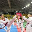 경희대명품꿈나무 태권도장 네이버블로그