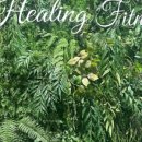 힐링사우나 이미지