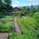 자생식물원 이미지