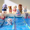 정립회관(4) | 정립회관 수영장 4월 초급반 수영강습 후기 13&amp;14일차 접영 가보자고