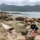 533 | 거제도여행/거제도가볼만한곳 : 한산도 배편, 요금 / 거제맛집 : 둔덕왕새우, 먹음직 ♩