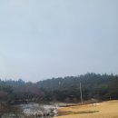 함평엘리체CC | 함평엘리체 cc라운딩 후기