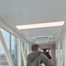 주식회사 뉴제주콜렌트카 | [제주] 한..한라산이 입산 통제라구요?! 한라산을 타려고 했을 뿐인데.... 제주 1일차