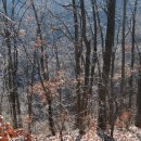 산울림 관광농원 이미지