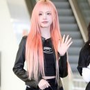 리즈 이미지