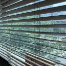 민화  전통채색화 이미지