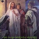 2024.9.1.연중 제 22 주일(피조물 보호를 위한 기도의 날) 이미지