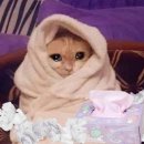 CR메디칼 | 🇺🇸 강남세브란스 미국 비자 건강검진 후기 (CR-1 이민비자)