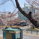 논산대로 이미지