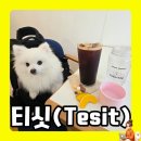 강창역 3번 출구 앞 | 길동역 3번출구 근처 반려동물동반 가능한 강동구 길동 신상카페! &#39;티싯TESIT&#39;