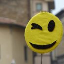 도봉-도봉-2466 이미지