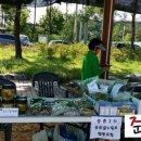 송송골느림보협동조합 이미지