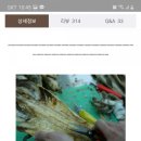 나도주개
