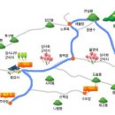 제197차 영광불갑사산행 및 상사화꽃힐링(9/26) 이미지