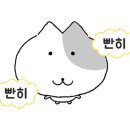 명작 신의주 찹쌀순대 이미지