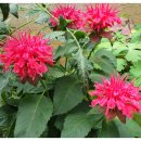 중곡3동주민센터 이미지