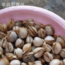 우리집펜션 이미지