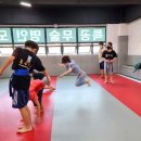 특공무술명인도장