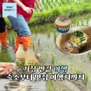 거창-신원-4 | 거창 반값여행 가볼만한곳 반려견 동반 숙소 정보 현지인 맛집 정육점 인증 여행지 추천