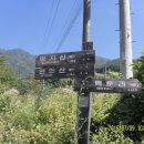 명지민박 이미지