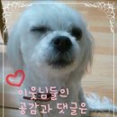 제우주단