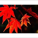 마곡사1 이미지