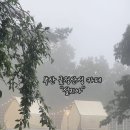 금정-화창한 날의 이미지