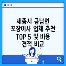 지에스25(GS25) 달빛로점 | 세종시 금남면 포장이사 업체 추천 TOP 5 및 비용 견적 비교