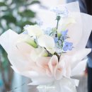 (주)카라 이미지