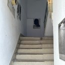 희정 제2농장 | [취미] 전주미용실 전주커넥션 단발히피펌 희정 디자이너 솔직후기