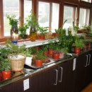 부천상록학교 이미지