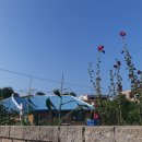 백령초등학교 이미지