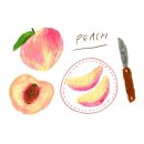 소묘와오일파스텔 이미지